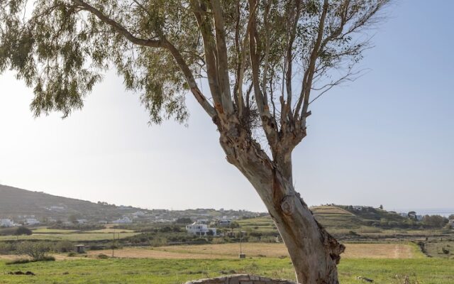 Myrsini Traditional Hillside Cottage