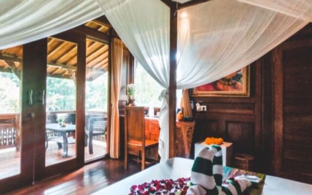 The Jungle Villa