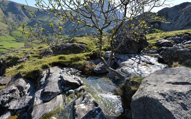 Cwm