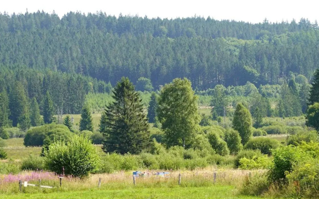 Chalet With Terrace in Sourbrodt