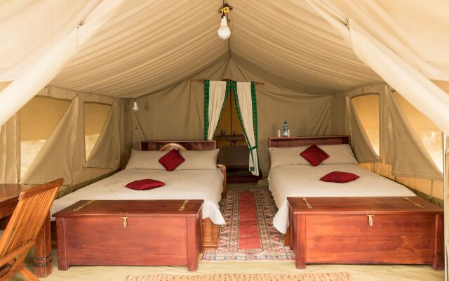 Hammerkop Migration Camp