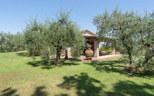 Fi-d895-gate0at - L Oliveta 6