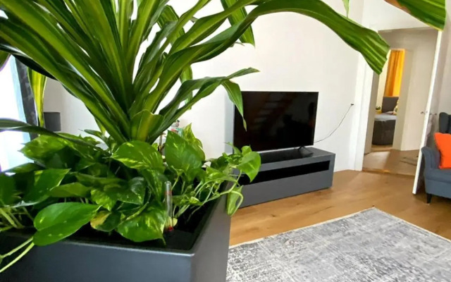 Stylish two-floor apartment in a heart of Basel