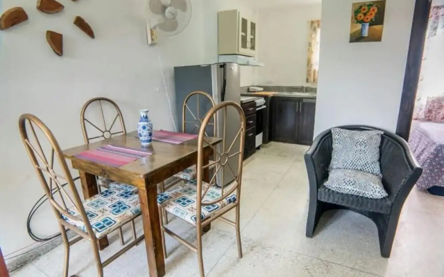 Apartamentos Magallanes Romana