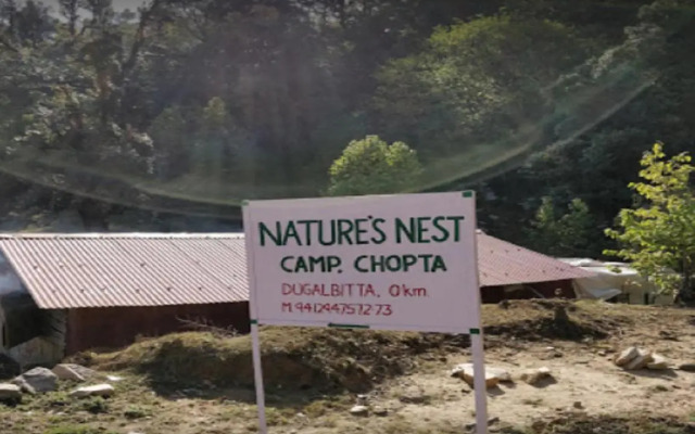 Camping At Natures Nest
