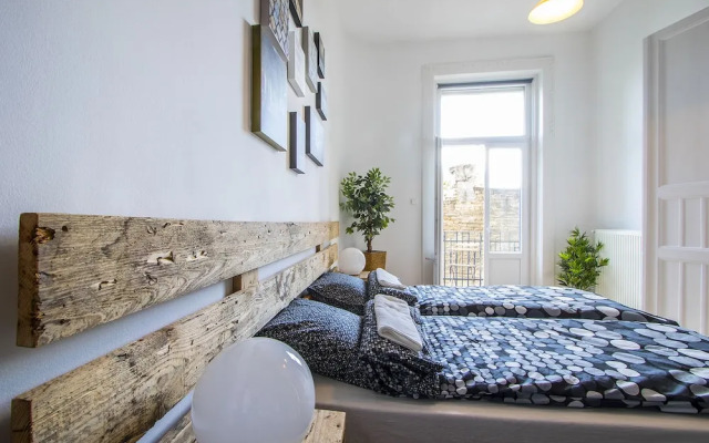 Large Central Apartments Rippl Rónai