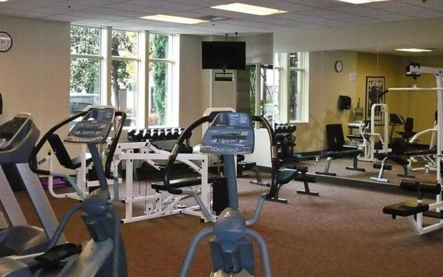 Fully furnished 1BR Apartment - Downtown Location