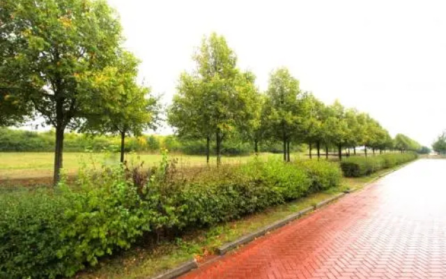 2 Private Single Rooms (5099)