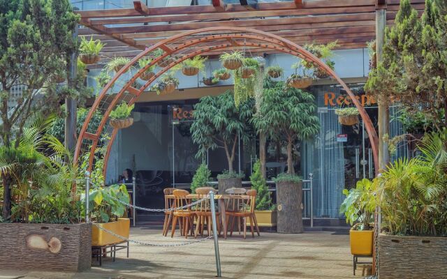The Vinetea Hotel