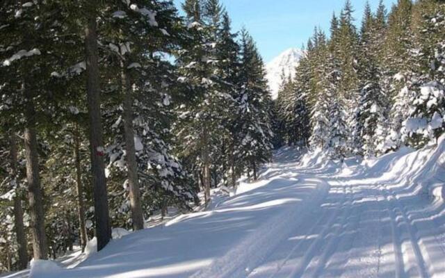 Hotel Steffner-Wallner