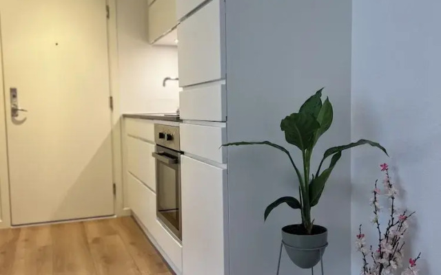 Cozy Flats Silkeborg - S2