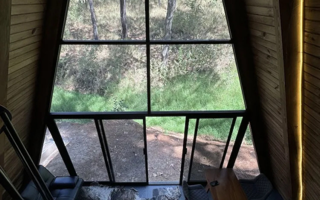 PINE TREE Hotel Boutique & Cabañas