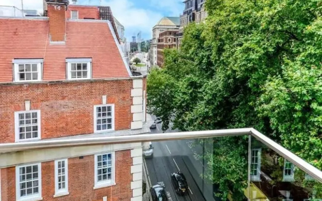 Charming 3 Bedroom Apartment in Central London