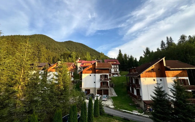 TreeZ Hostel