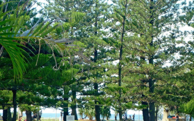 Main Beach Tourist Park