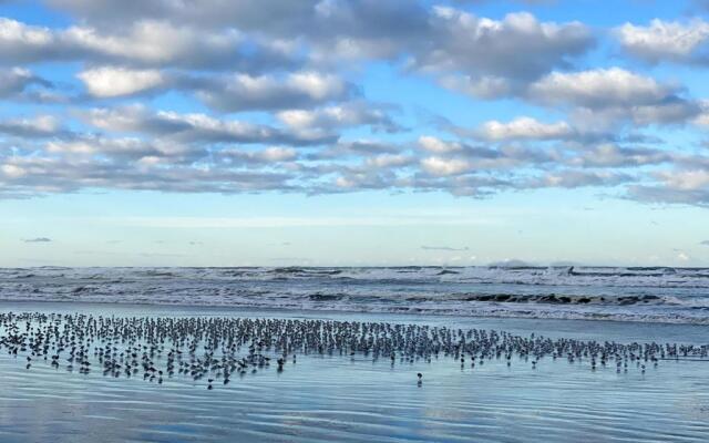 Tidal House #10