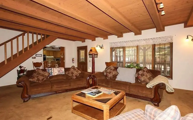 Cozy Bear Lair by Big Bear VR