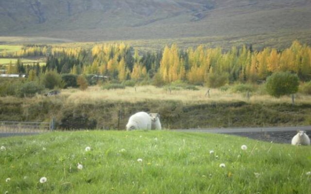 Galleri Laugarvatn