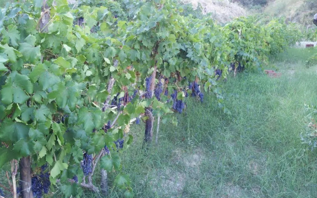 Il Giardino Di Ausonia