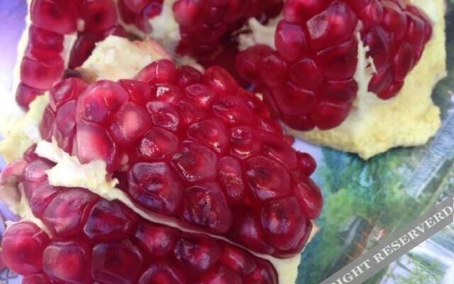 Tianxia Yijia Farmhouse