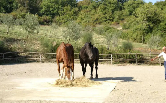 Agriturismo Le Novelle