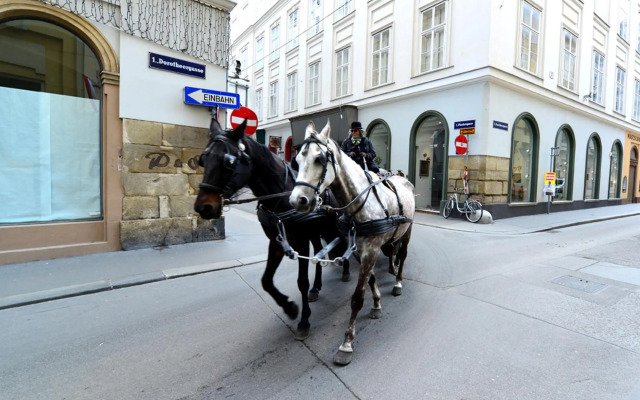 Cosy & Charming In The City Centre