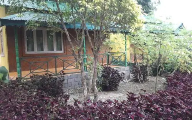 Green Tea Resort