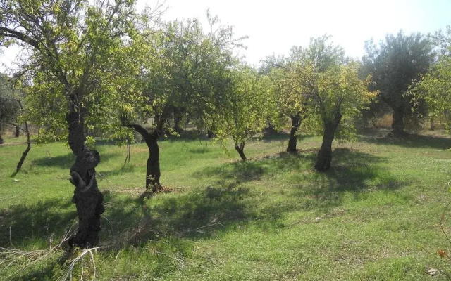 Terra Di Eloro