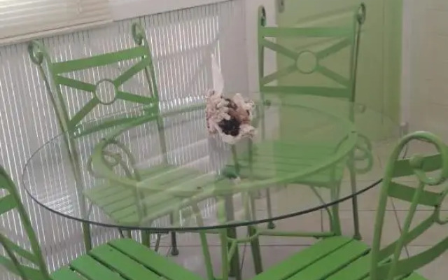 Residence Rose Cannelle