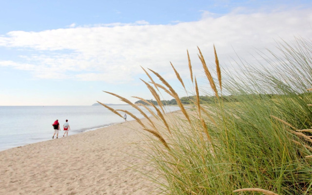 Ferienhaus Rohrweihe Haus Terrasse, Gartennutzung, Meerblick