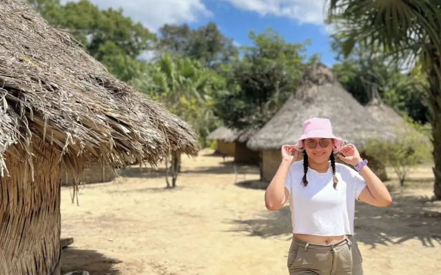 Tree of Life - Hostel