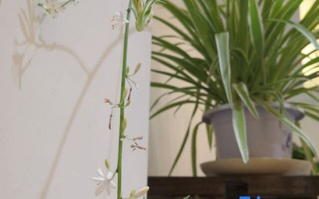 Yiyuanshu Homestay (Dalian Jinshitan)