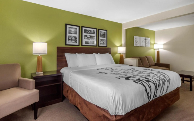 Sleep Inn & Suites Allendale