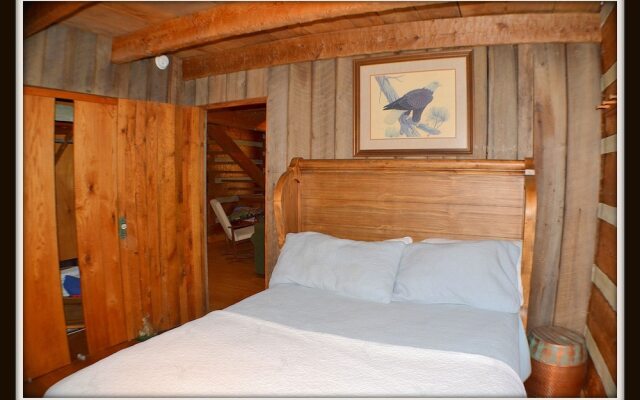 Logged Inn - 3 Br cabin by RedAwning