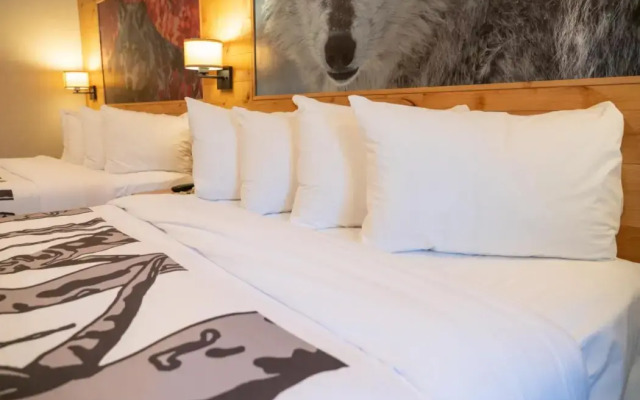 Banff Rocky Mountain Resort