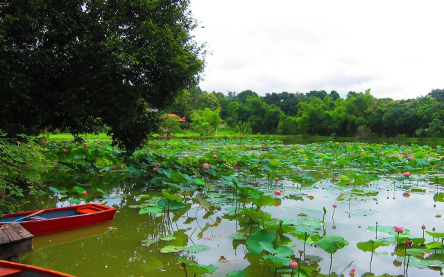 Mae Rim Lagoon