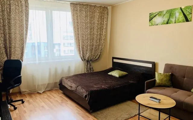 Apartamenty Mechta 24 na ul. SHejnkmana, 90