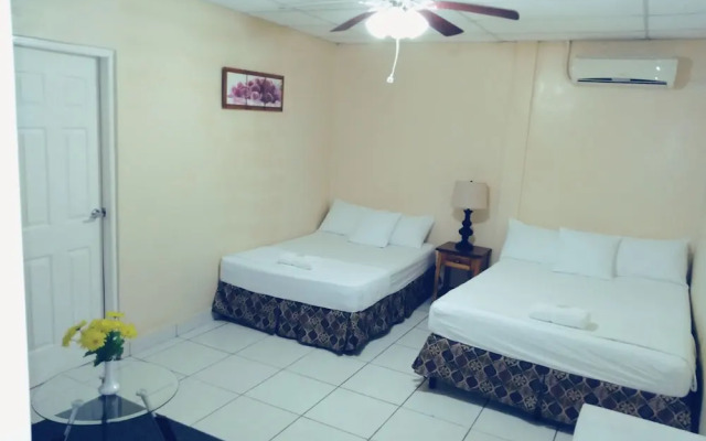 Hotel Dalinky