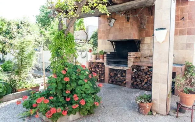Oasis