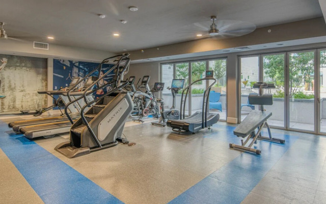 Luxe Apartments In Tempe By Wanderjaunt