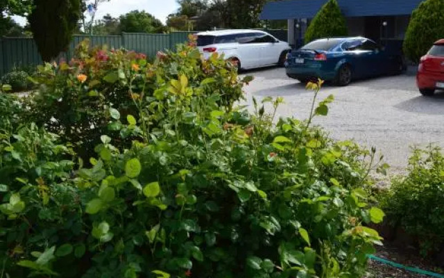 Wattle Grove Motel Maryborough