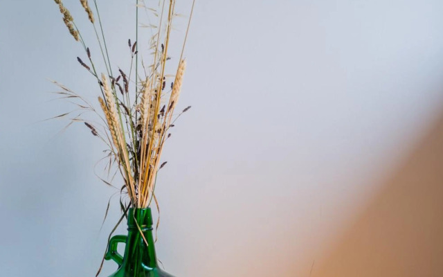 UNIQUE Modernist Duplex apartment & PARKING