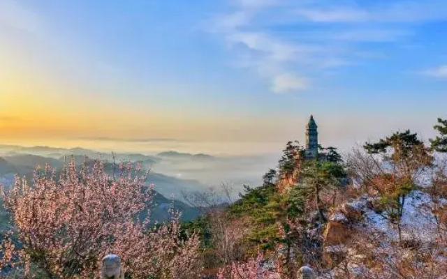 Tianjin Wuyue Xiangyu Boutique Homestay