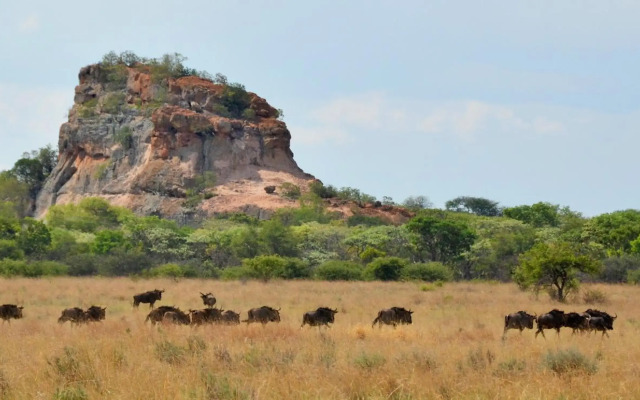 Zwahili Game Lodge & Spa