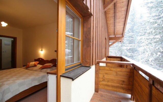Ski & Wellness Residence Družba
