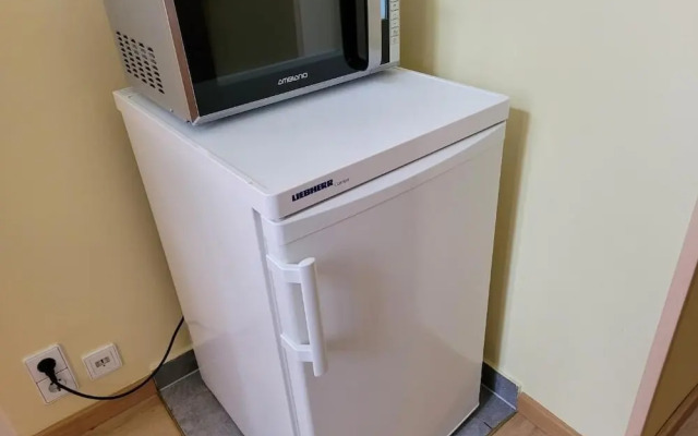 leopoldauer apartment