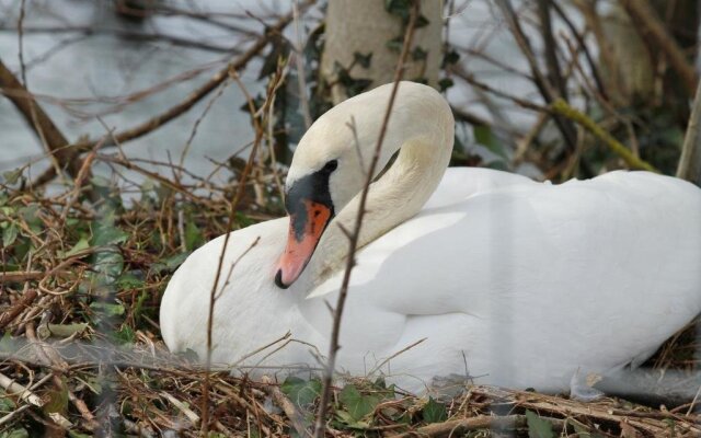 Zum Schwanen Gasthof Pension