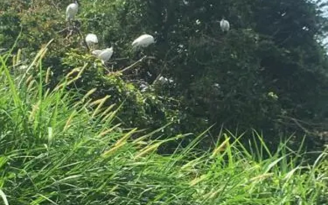 Goroomgo Vijaya Palace Lodging Bengaluru