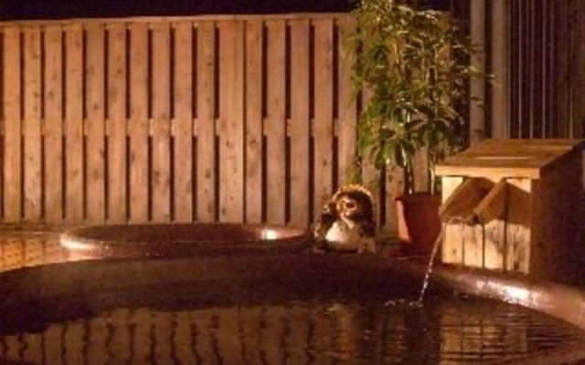 Kids Pension Fruit Juice (Awajishima)