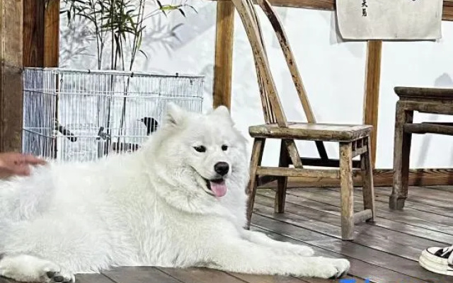 Qingcheng Mountain Wuwei Homestay – People – Chengdu